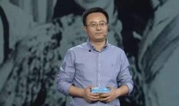 王振宇爆料完整版视频播放,独家爆料背后的真相与内幕