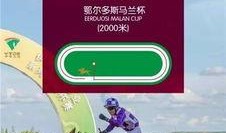 最新沙漠爆料视频播放在线观看,最新爆料视频在线观看，一探究竟