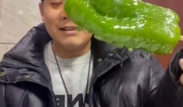 宿州吃瓜网红事件视频,一场网络舆论的风暴与反思