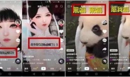 猪食记被爆料视频大全,揭秘视频爆料背后的真实故事